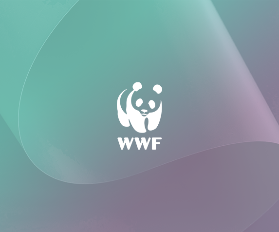 WWF - 1 copy