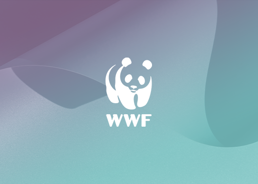 WWF - 2 copy
