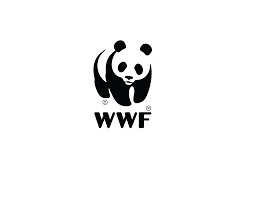 wwf testimonial 