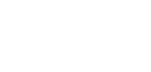 lowe_s